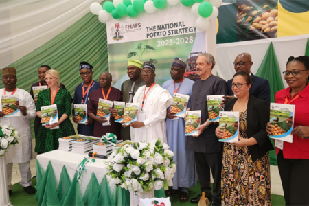 Unlocking prosperity: The National Potato Strategy for Nigeria