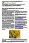 Identification of nectarine stem pitting-associated virus infecting prunus persica in Hungary