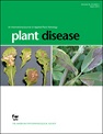 Methodology for inoculating sweetpotato virus disease: Discovery of tip dieback, and plant recovery and reversion in different clones