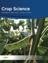 Gendered sweetpotato trait preferences and implications for improved variety acceptance in Uganda