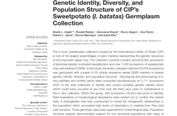 Genetic Identity, Diversity, and Population Structure of the International Potato Center's Sweetpotato (I. batatas) Germplasm Collection