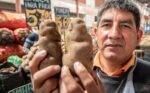 Potato Research in Peru