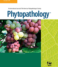 Molecular epidemiology of Ralstonia solanacearum species complex strains causing bacterial wilt of potato in Uganda