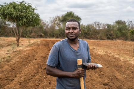 The prize-winning sweetpotato helping farmers respond to climate change