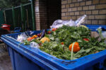Addressing the Dual Challenge of Food Waste and Food Insecurity: Here’s Some Ideas