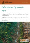 Deforestation Dynamics in Peru. A Comprehensive Review of Land Use, Food Systems, and Socio-Economic Drivers