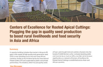 Centers of Excellence for Rooted Apical Cuttings: Plugging the gap in quality seed production to boost rural livelihoods and food security in Asia and Africa