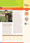Outcomes of a virus degeneration study in sweetpotato in the Lake zone of Tanzania