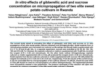 In vitro effects of gibberellic acid and sucrose concentration on micropropagation of two elite sweet potato cultivars in Rwanda