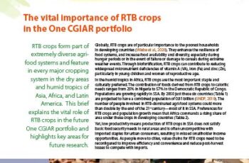 The vital importance of RTB crops in the One CGIAR portfolio. Research Brief 02