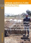 Nutrient cycles in three African cities