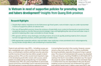 Is Vietnam in need of supportive policies for promoting roots and tubers development? Insights from Quang Binh province