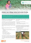 Potato zero tillage using rice straw mulch. Technology Brief.