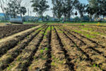 Rangareddy: ‘Food security, nutrition key for human survival’