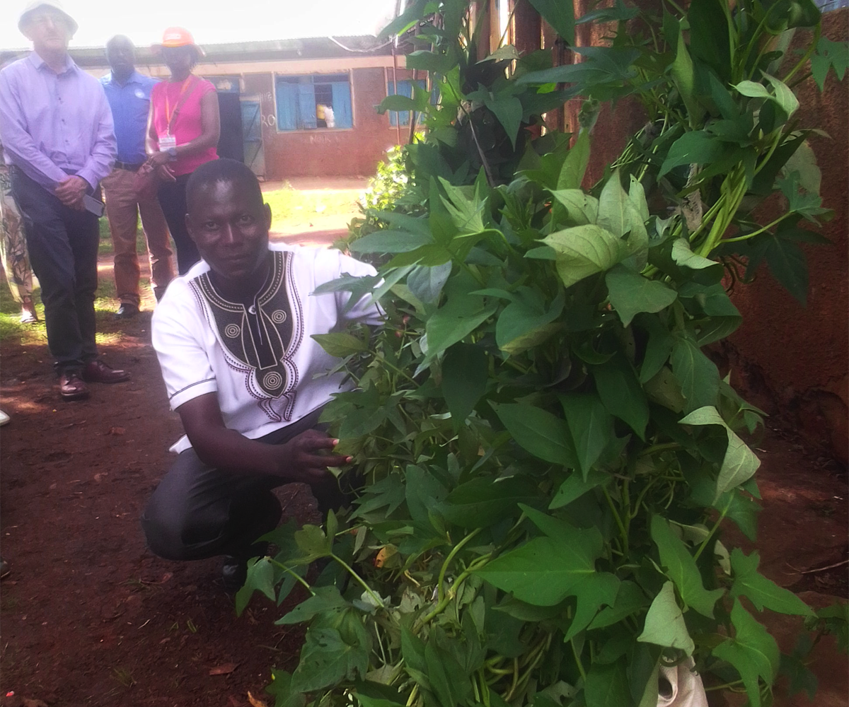 Growing nutrientrich crops in Uganda A recipe for success in Karamoja