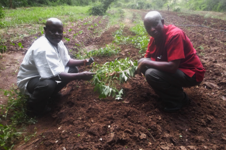 Growing nutrient-rich crops in Uganda: A recipe for success in Karamoja schools