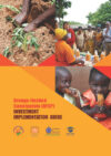 Orange-fleshed sweetpotato (OFSP). Investment implementation guide