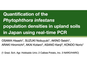 Quantification of the Phytophthora infestans population densities in upland soils in Japan using real-time PCR.