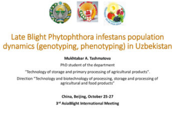 Late blight Phytophthora infestans population dynamics (genotyping, phenotyping ) in Uzbekistan.