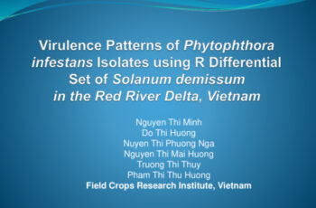 Virulence pattens of Phytophthora infestans isolates using R differential set of solanum demissum in the Red River Delta, Vietnam