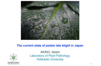 The current state of potato late blight in Japan.