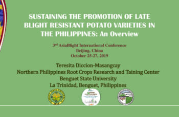 Sustaining the promotion of late blight resistant potato varieties in the Philippines: An overview