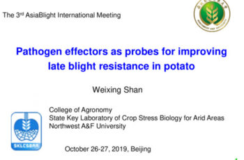 Pathogen effectors as probes for improving late blight resistance in potato.