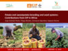 Potato and sweetpotato breeding and seed systems: Contributions from CIP in Africa