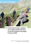 Produccion de papa organica en la region andina del Peru: El manejo integrado de plagas lo hace posible.