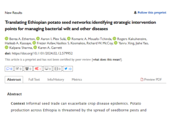Translating Ethiopian potato seed networks: identifying strategic intervention points for managing bacterial wilt and other diseases