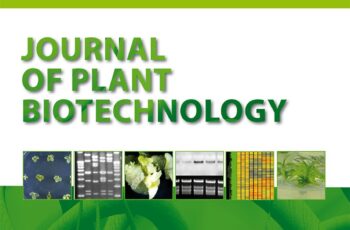 Thiamine improves in vitro propagation of sweetpotato [Ipomoea batatas (L.) Lam.] – confirmed with a wide range of genotypes