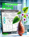 Haplotype-based phylogenetic analysis and population genomics uncover the origin and domestication of sweetpotato