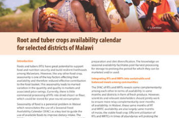 Root and tuber crops availability calendar for selected districts of Malawi