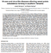 Viruses and virus-like diseases affecting sweet potato subsistence farming in southern Tanzania