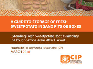 A guide to storage of fresh sweetpotato in sand pits or boxes: extending fresh sweetpotato root availability in drought-prone areas after harvest