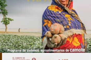 Programa de sistemas agroalimentarios de camote