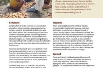 Generating advances in incomes and nutrition through sweetpotato (GAINS) - Odisha state, India.