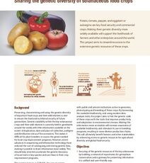 Sharing the genetic diversity of solanaceous food crops. Project profile.