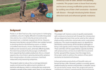 Improving diagnostics and resistance to potato bacterial wilt disease. Project profile.