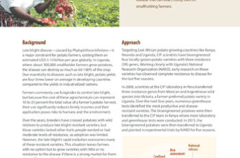 Late blight resistant potato for Africa. Project profile.