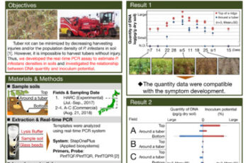 Quantification of the Phytophthora infestans population densities in upland soils in Japan using real-time PCR.
