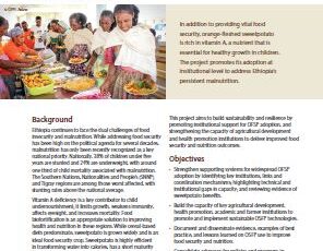 Scaling up orange-fleshed sweetpotato for improved nutrition and food security, Ethiopia. Building institutional support. Project profile.