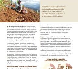 Papas biofortificadas para ayudar a reducir niveles de anemia en los Andes. Perfil del proyecto.