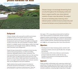 Developing early maturing and stress-tolerant potato varieties for Asia. Project profile.