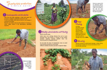 SASHA: Acção da Batata-doce para a Segurança Alimentar e Saúde em África