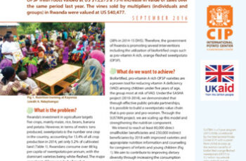 Scaling up sweetpotato through agriculture and nutrition (SUSTAIN) in Rwanda