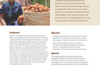 Better quality potatoes for Uganda. Piloting seed potato production using rooted transplants of apical cuttings and assessment of ware potato storage. Project profile.