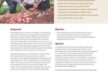 Promoting employment, food security and nutrition in Mozambique. Sweetpotato-based job-opportunities for young people. Project profile.