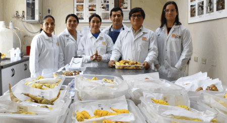 Youth in Science: World Food Prize Borlaug-Ruan Internship at CIP