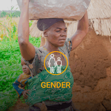 202509-Gender-Growing-Project
